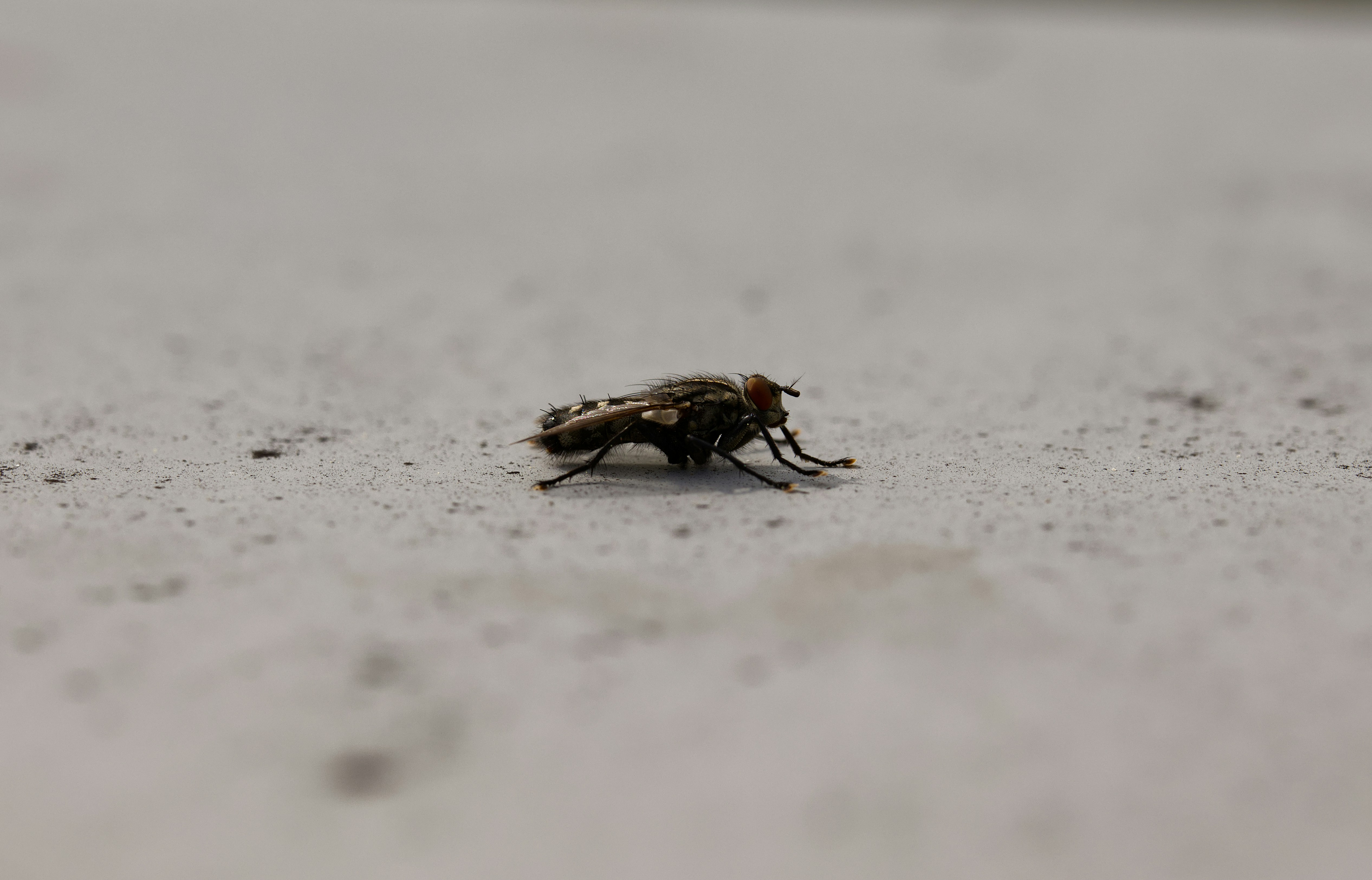 Photo by photasticlab