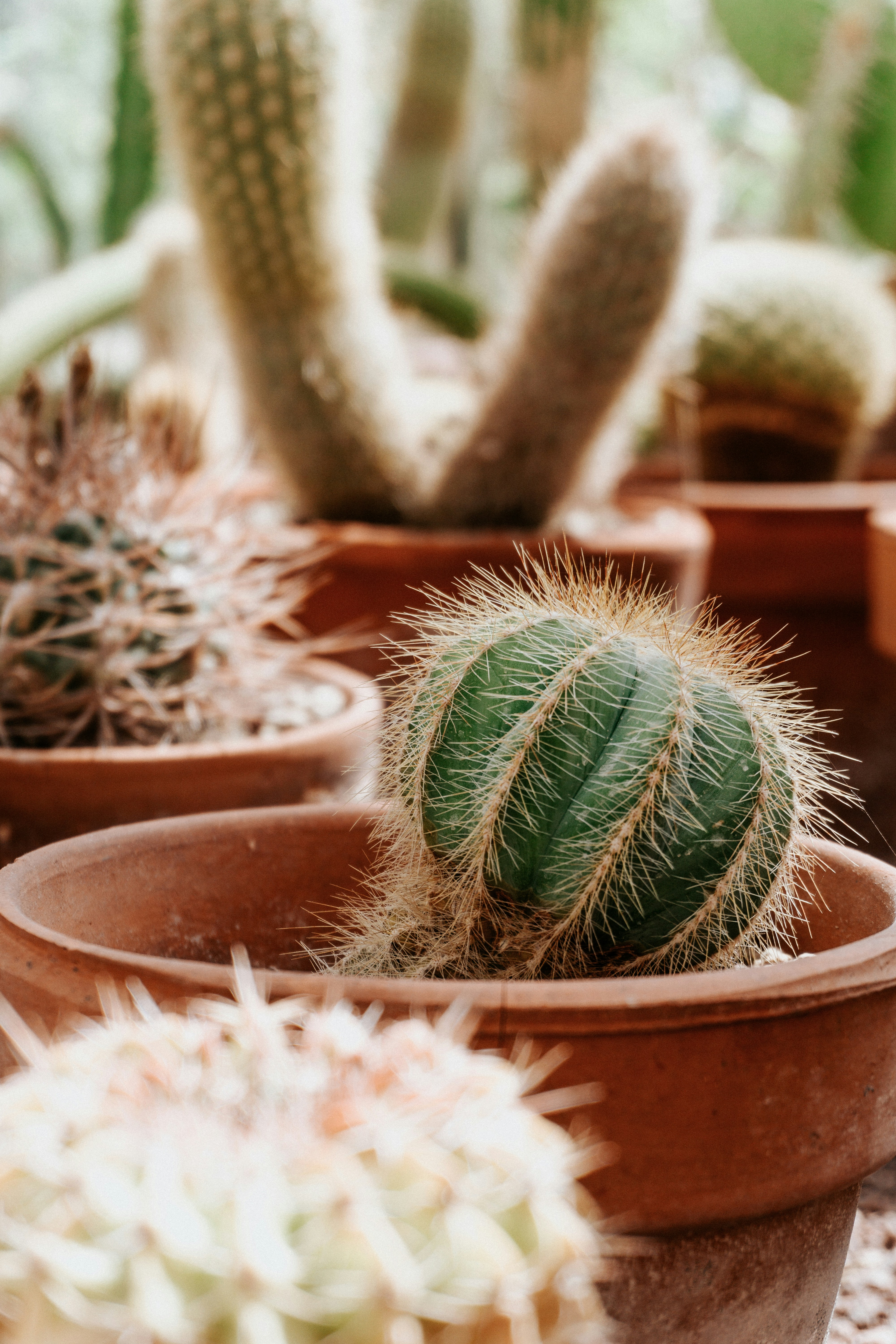 Photo by michelemarchesi