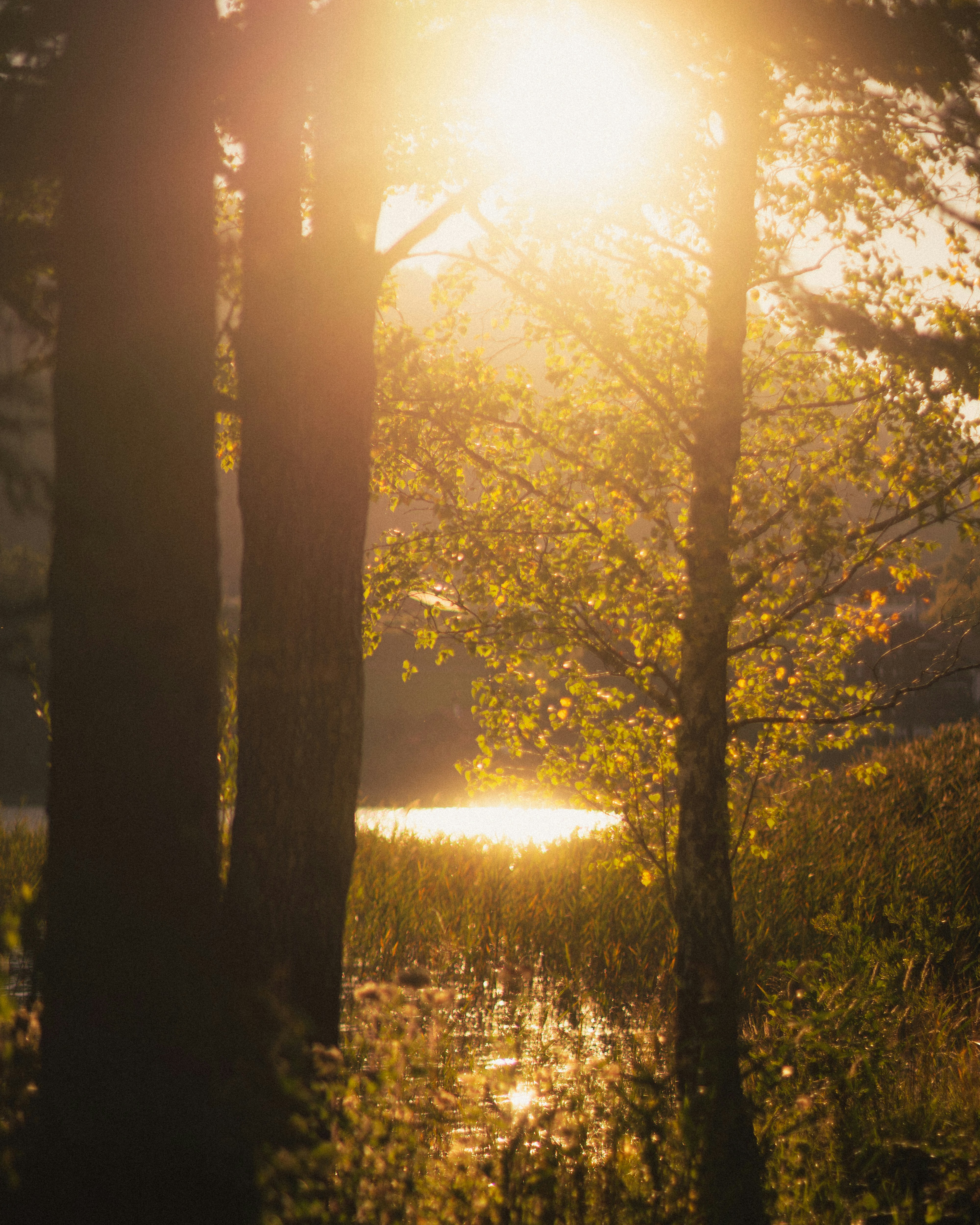 Photo by floppypaste