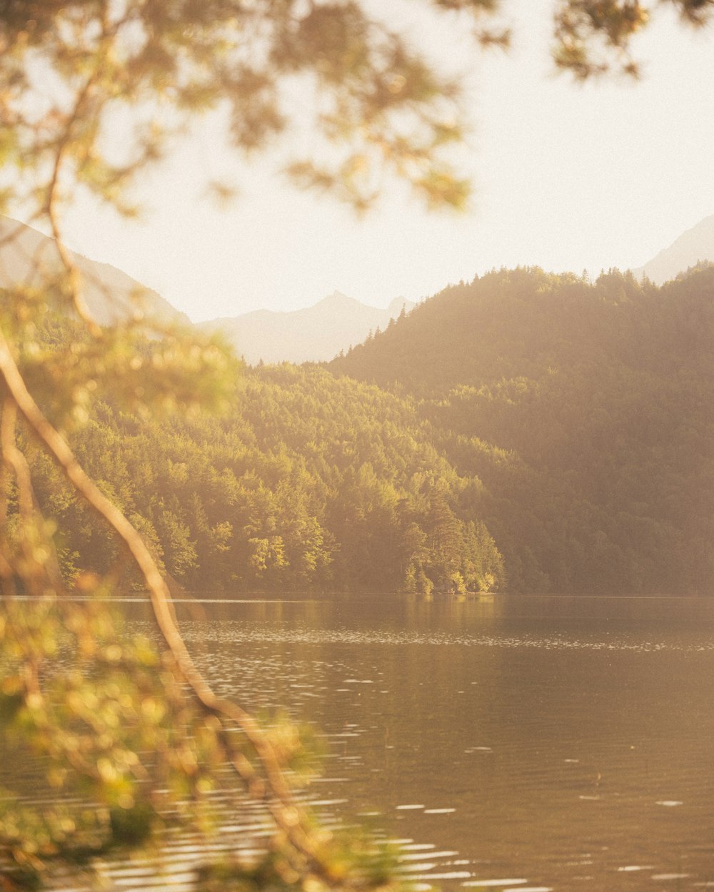 a body of water surrounded by mountains and trees