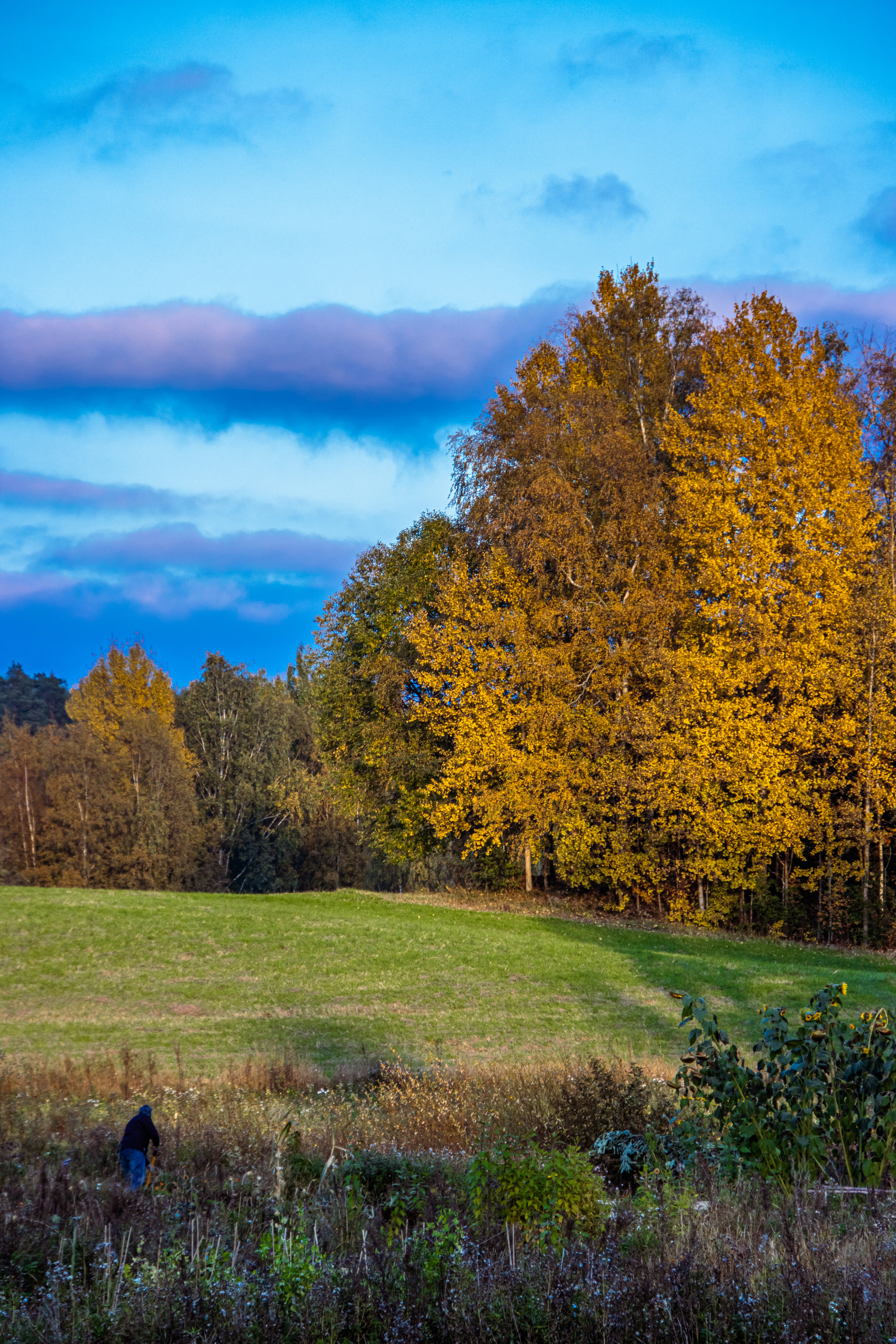 Photo by juho_aleksi_luomala