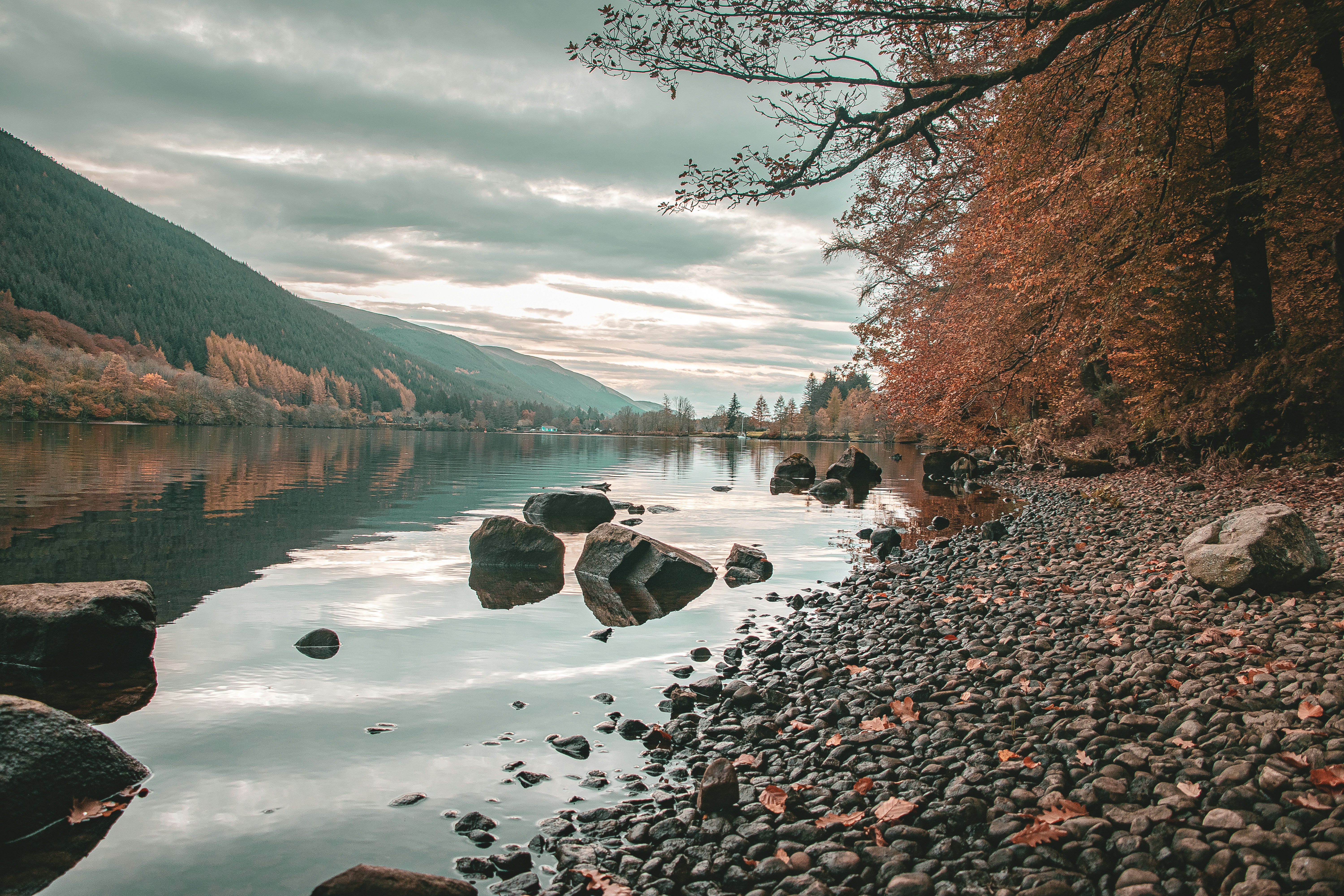 Photo by archie_reed