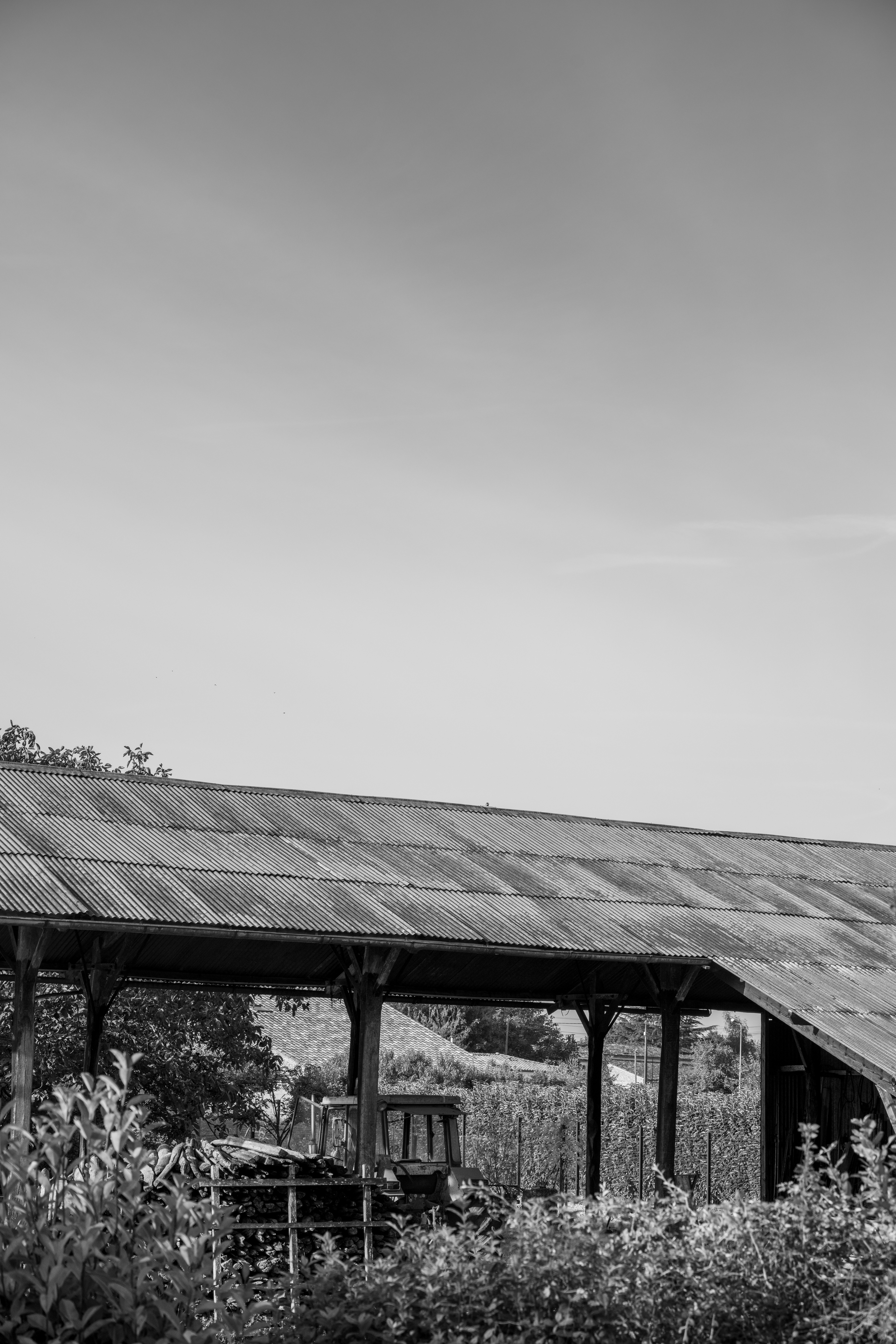 a black and white photo of an old barn