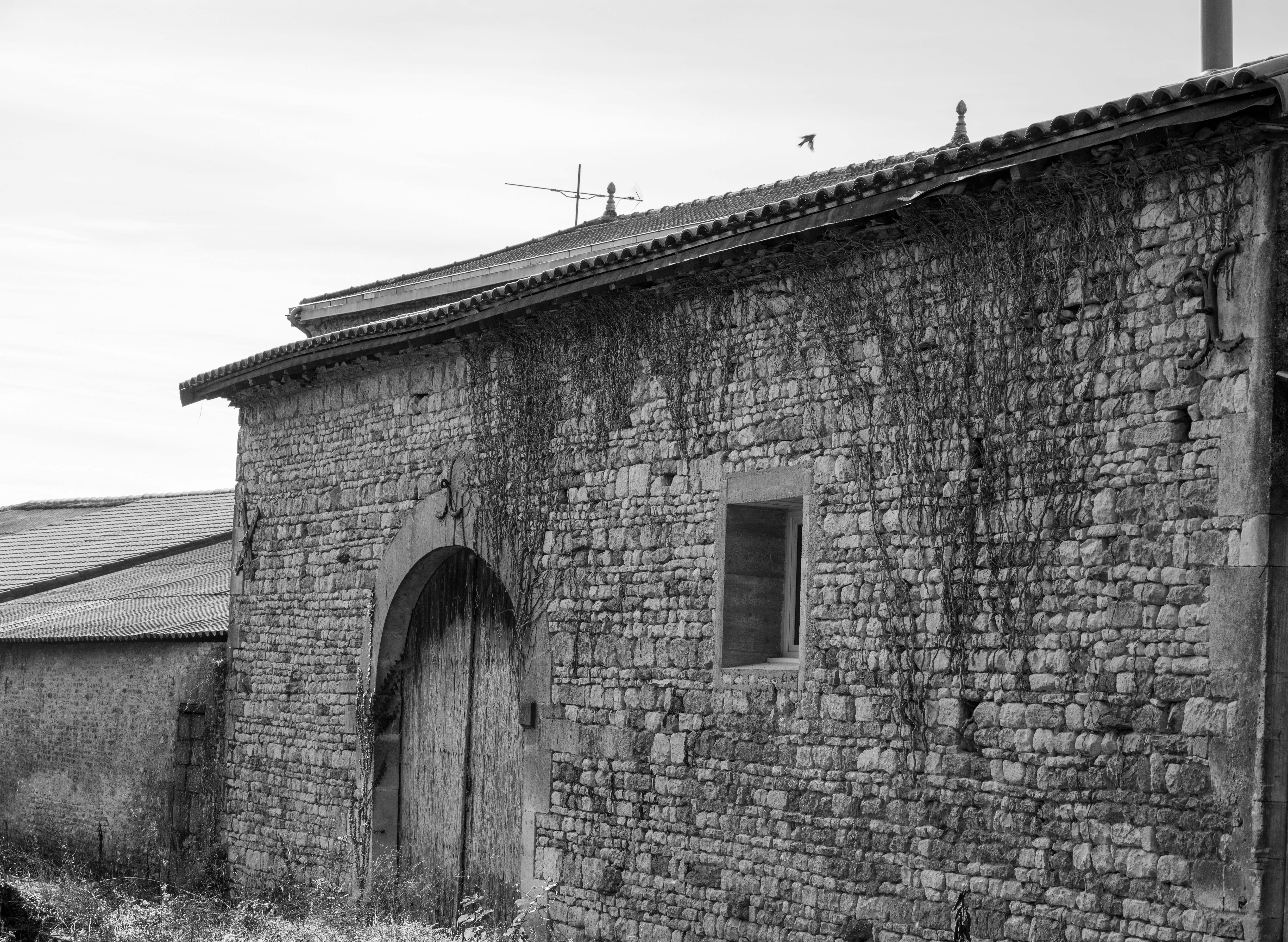 Photo by aurelietack