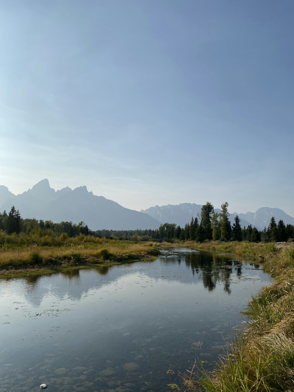 a body of water surrounded by trees and mountains