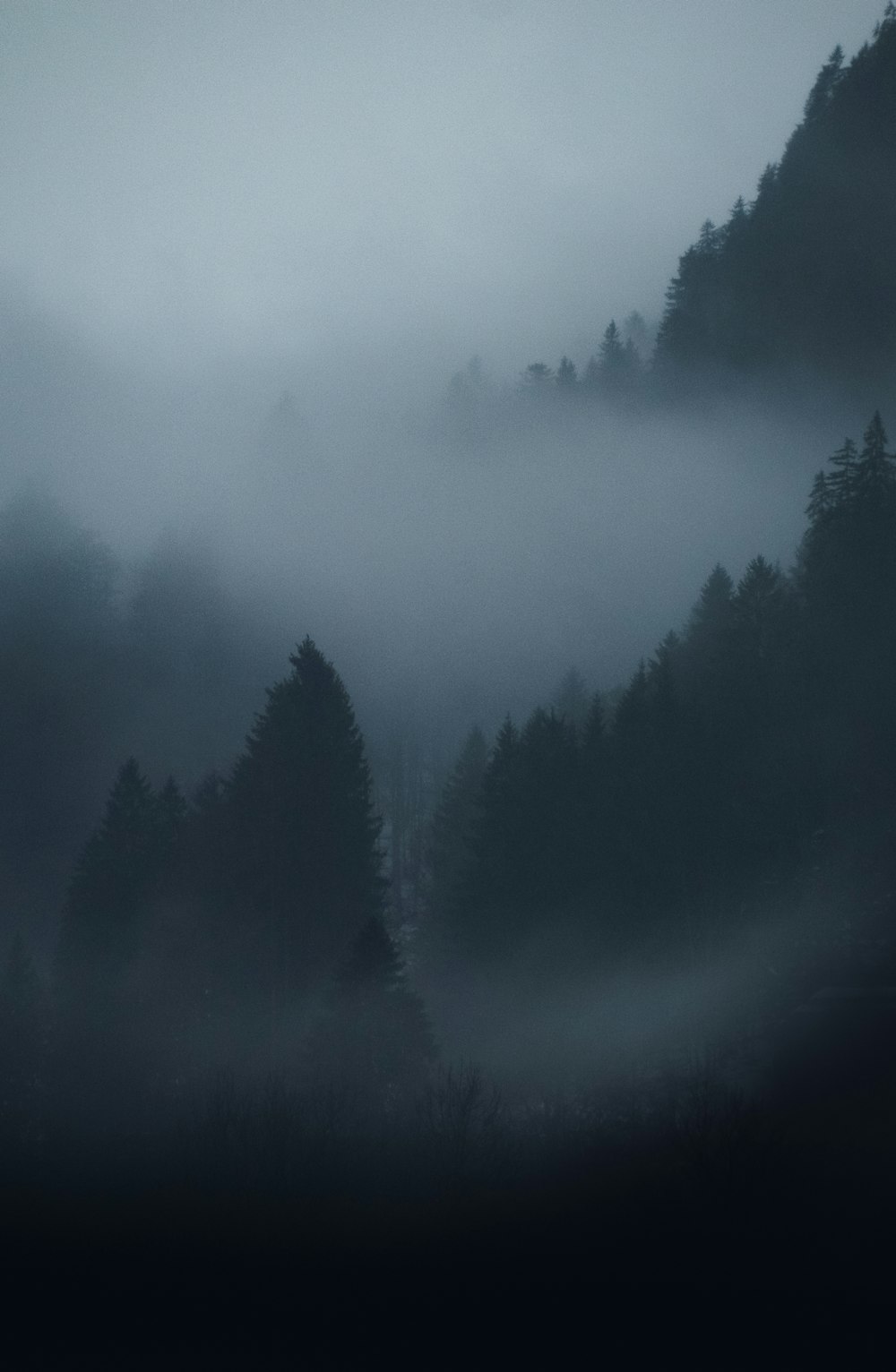 clouds in a dark cloudy sky