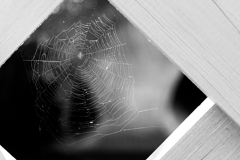 a close up of a spider web in a window