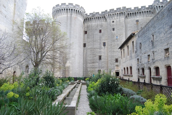 Optimal Weather and Seasons for Visiting Tarascon: A Practical Guide
