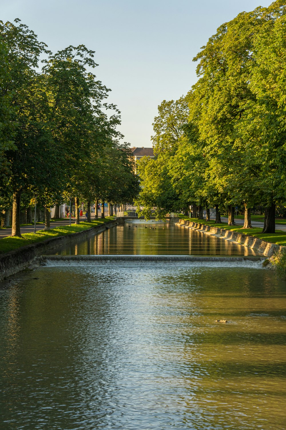 a river running through a lush green park