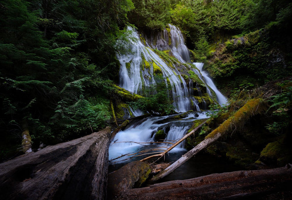 a small waterfall in the middle of a forest