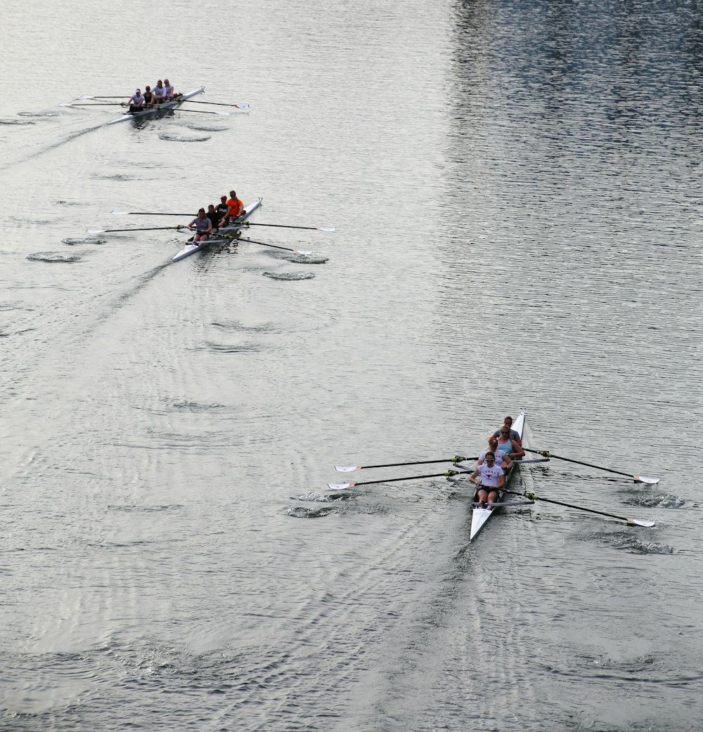 a group of people rowing on a body of water