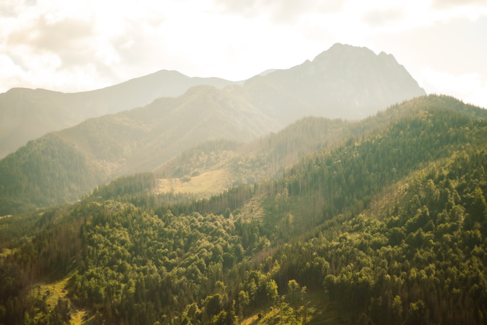 a view of a mountain range with trees in the foreground