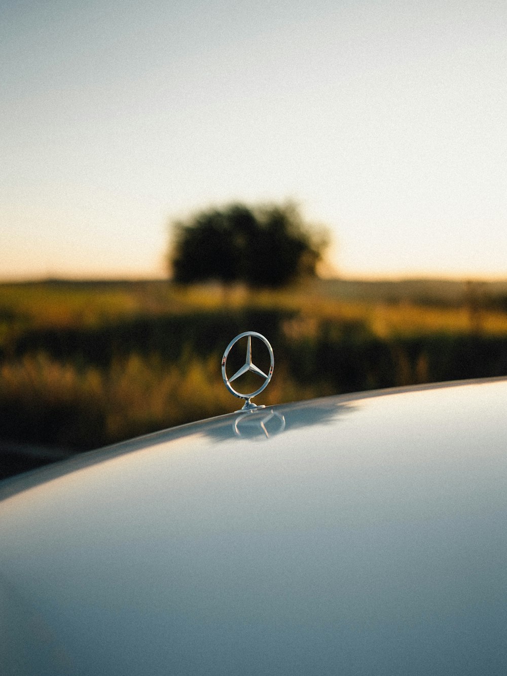 a mercedes emblem on the hood of a car