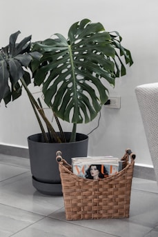 a plant in a basket next to a chair