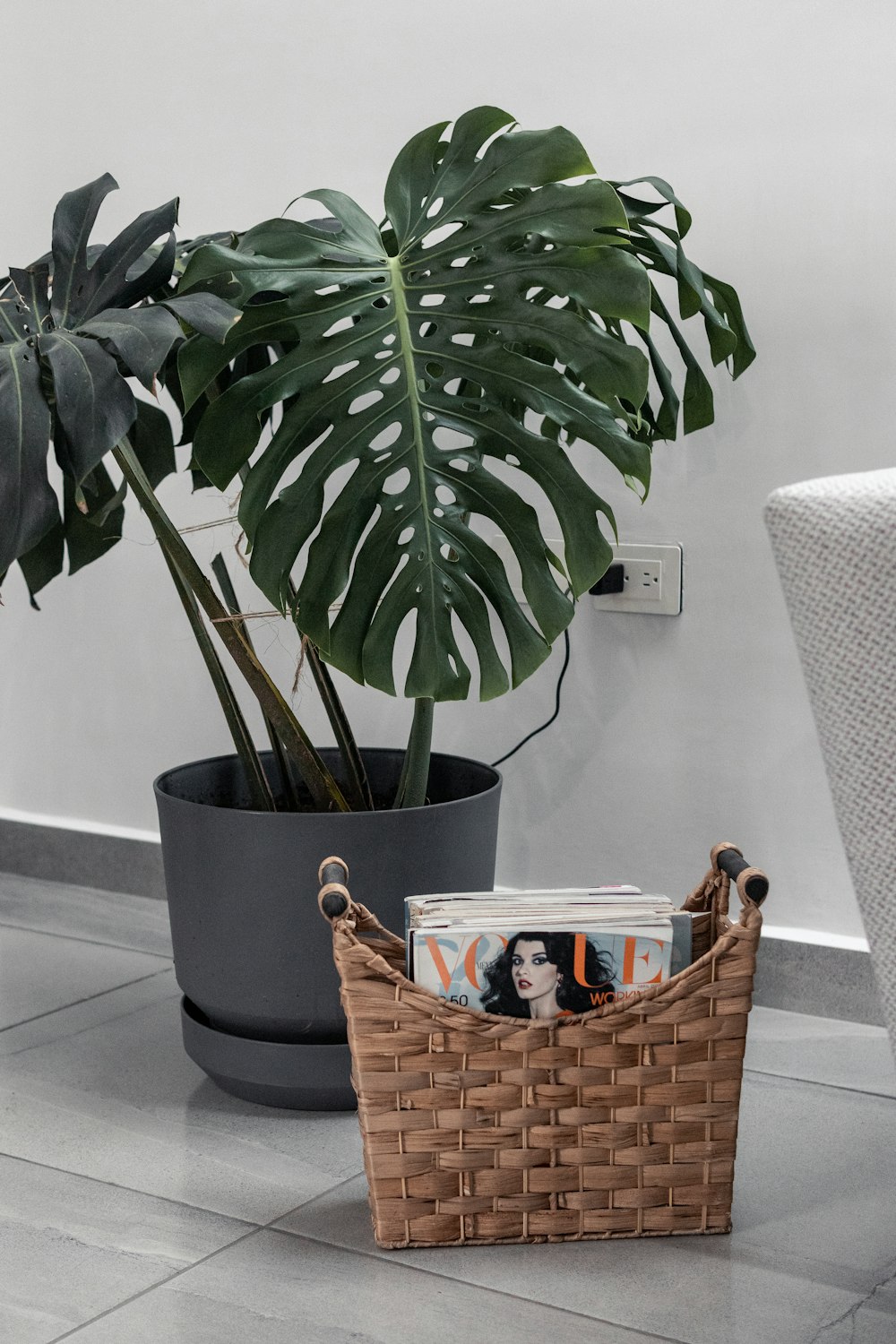 a plant in a basket next to a chair