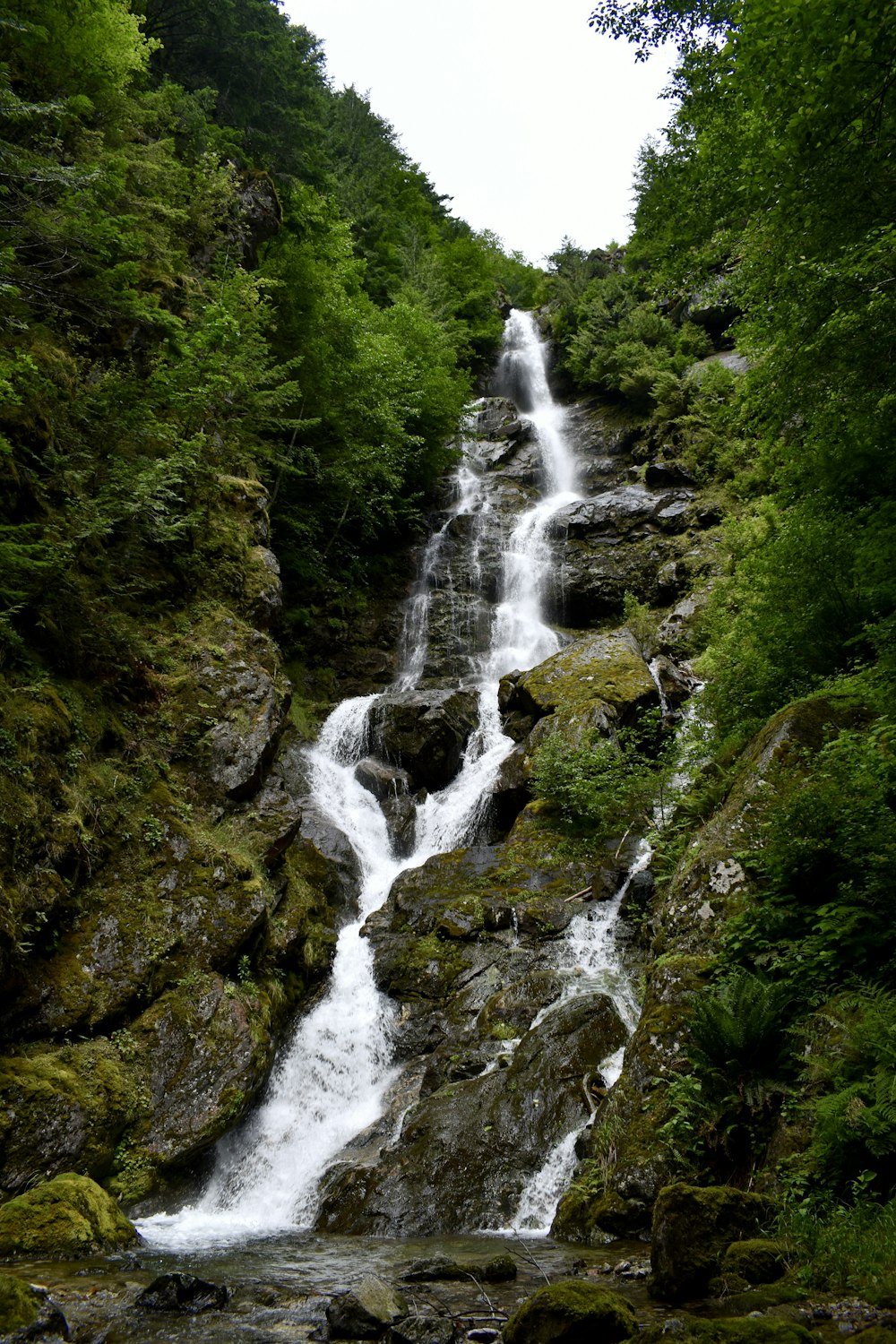 Une cascade au milieu d’une forêt