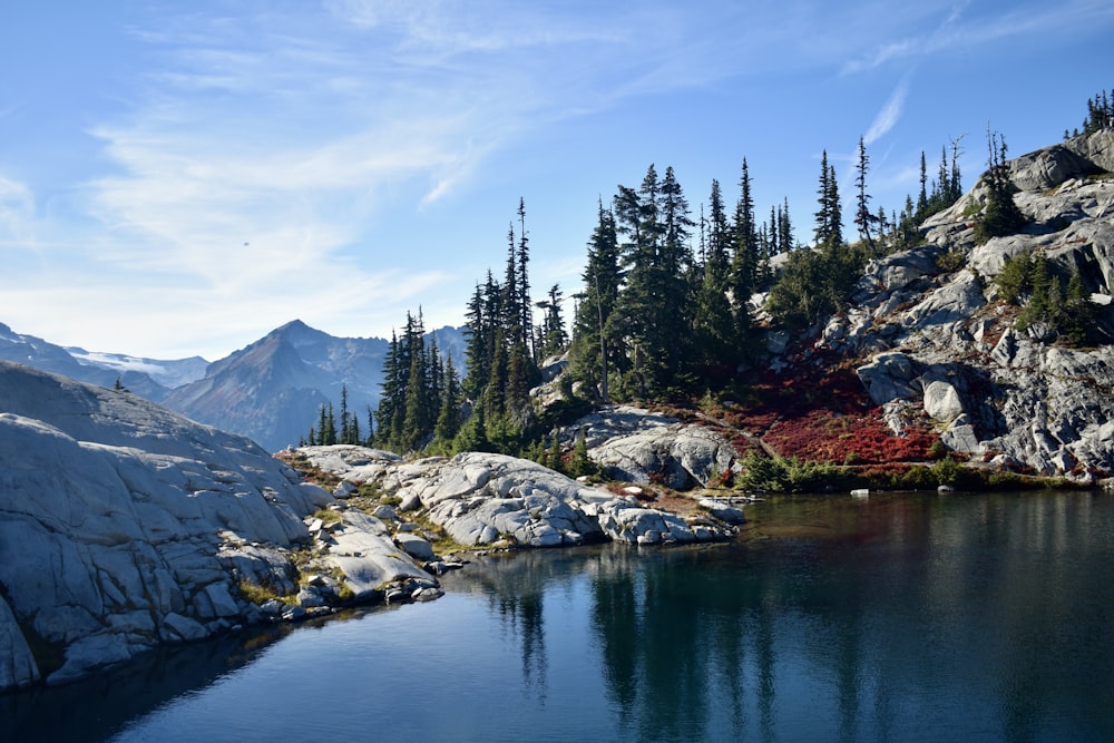 a body of water surrounded by mountains and trees