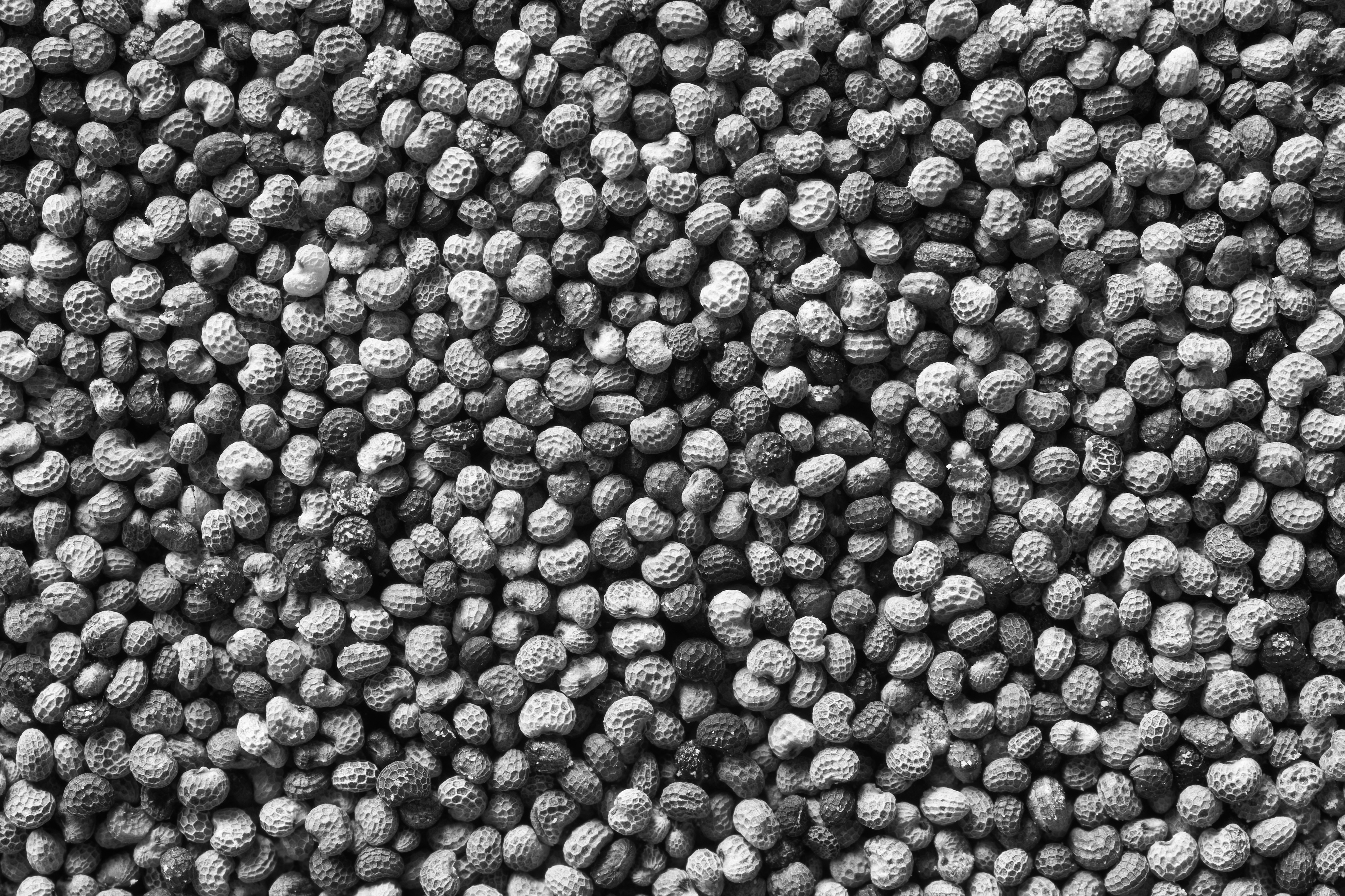 Amendoim Torrado Salgado