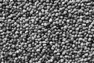 A compact electric peanut grinder with peanuts scattered around it.