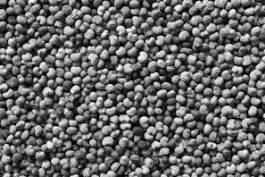 A compact electric peanut grinder with peanuts scattered around it.