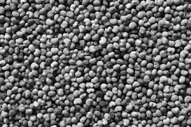 A dense collection of peanuts in their shells fills the image, creating a textured and patterned surface. The peanuts are unevenly scattered, displaying the characteristic rugged shell surface.