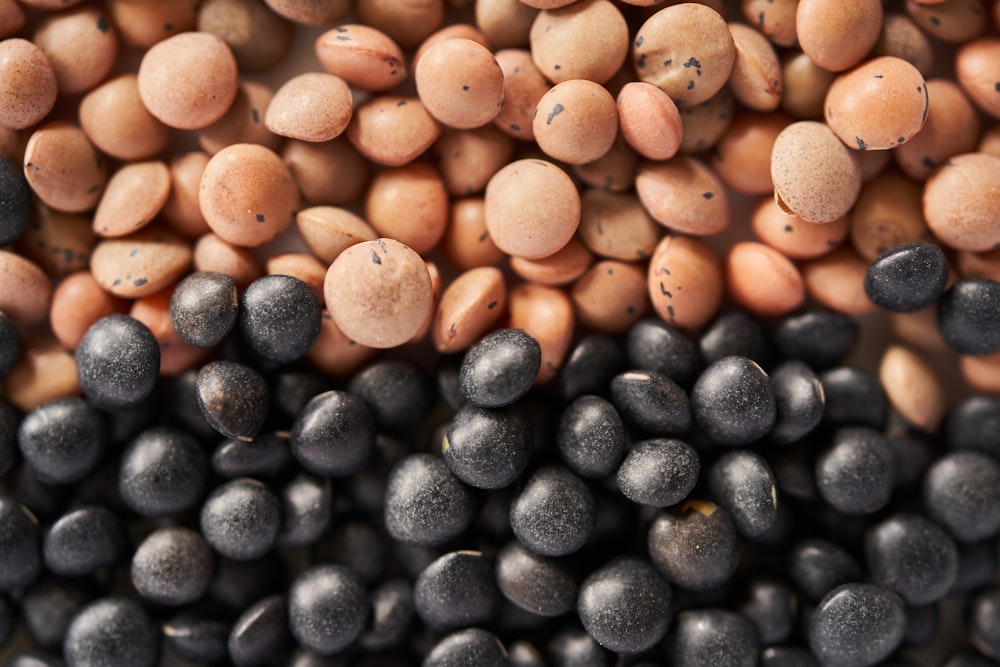 a pile of black and brown beans next to each other
