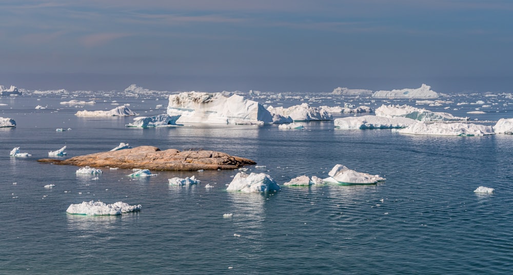 a large group of icebergs floating in the ocean