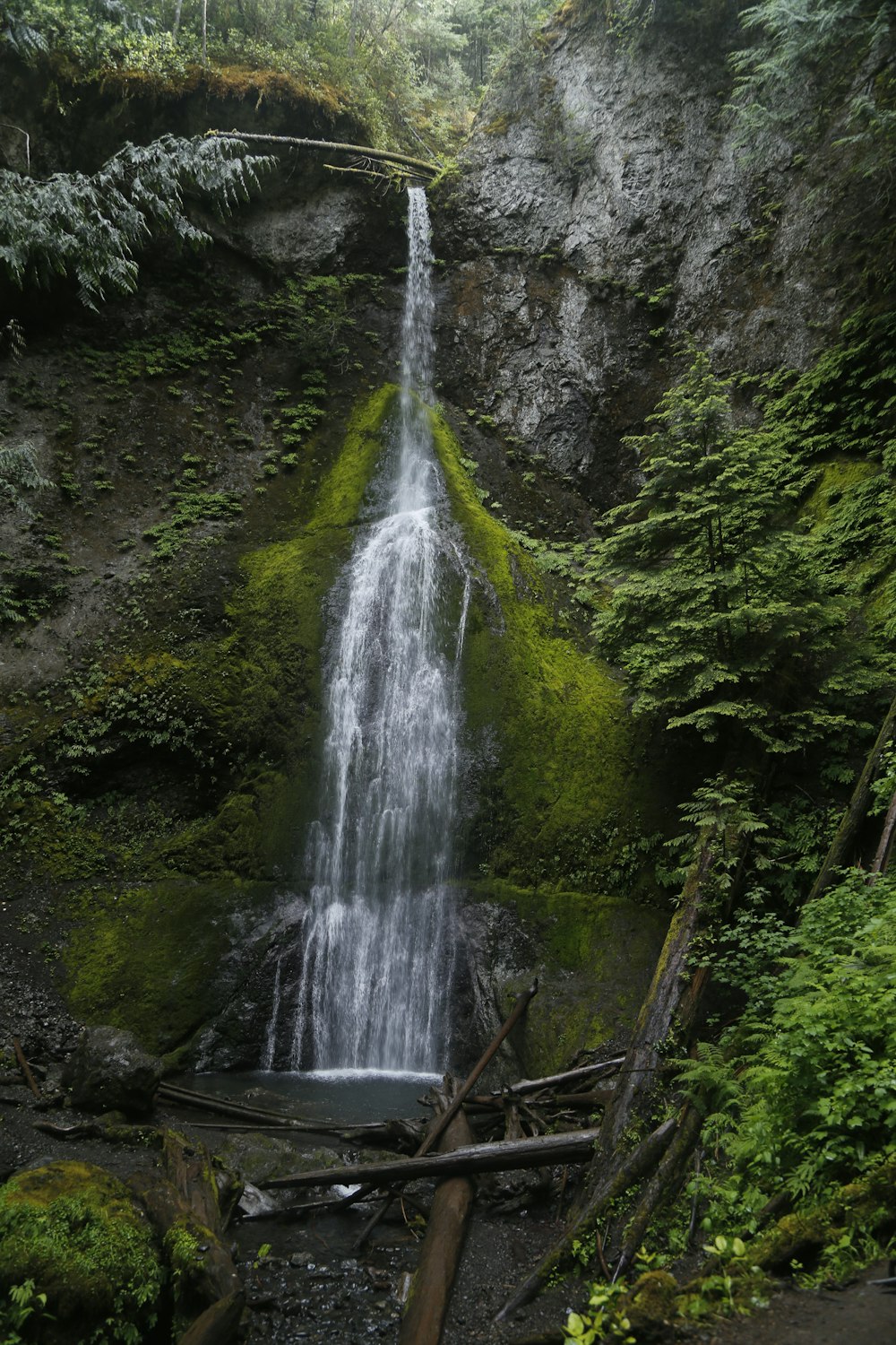 Una piccola cascata nel mezzo di una foresta