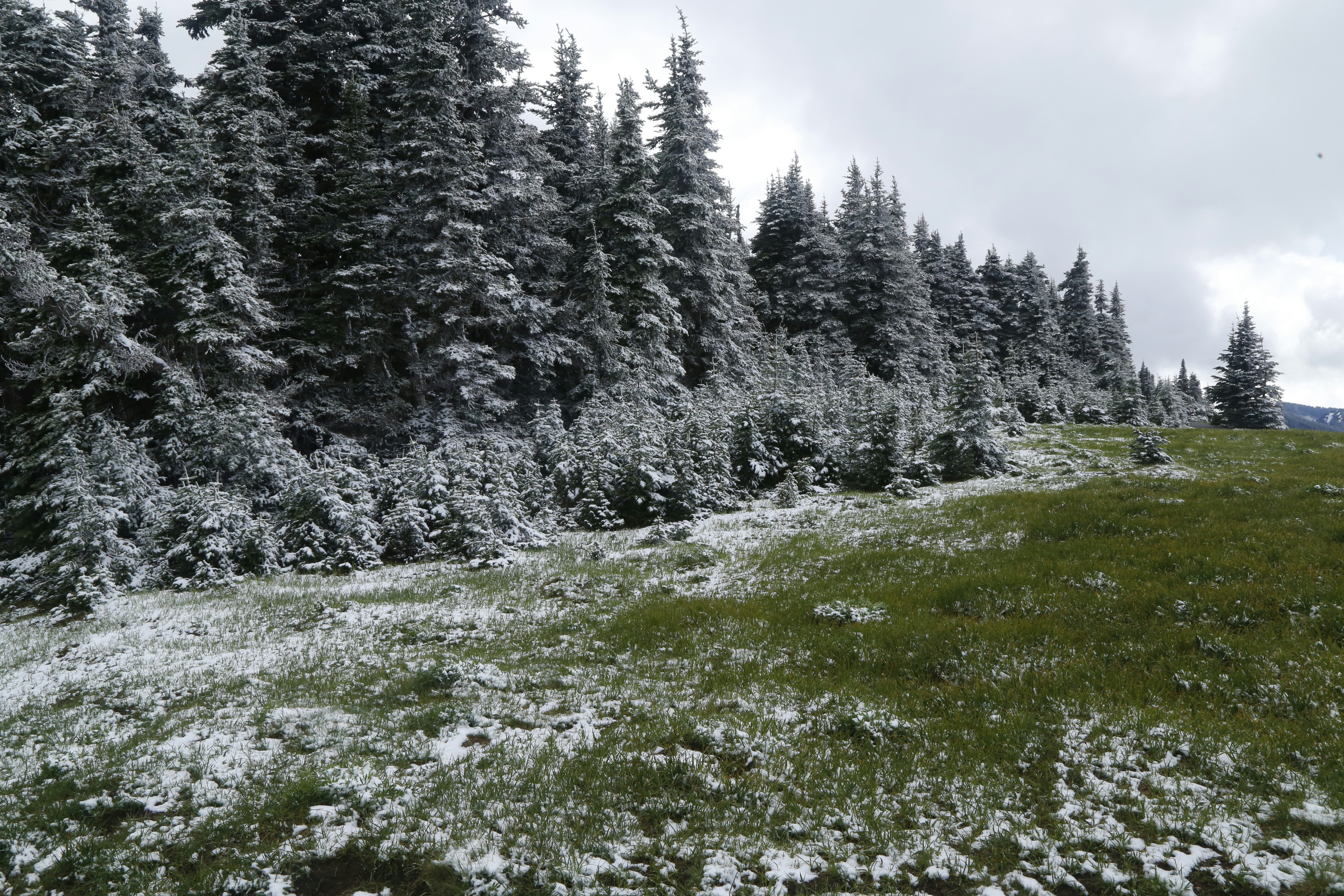 Prezydent Andrzej Duda zgłoszony na stanowisko członka MKOl