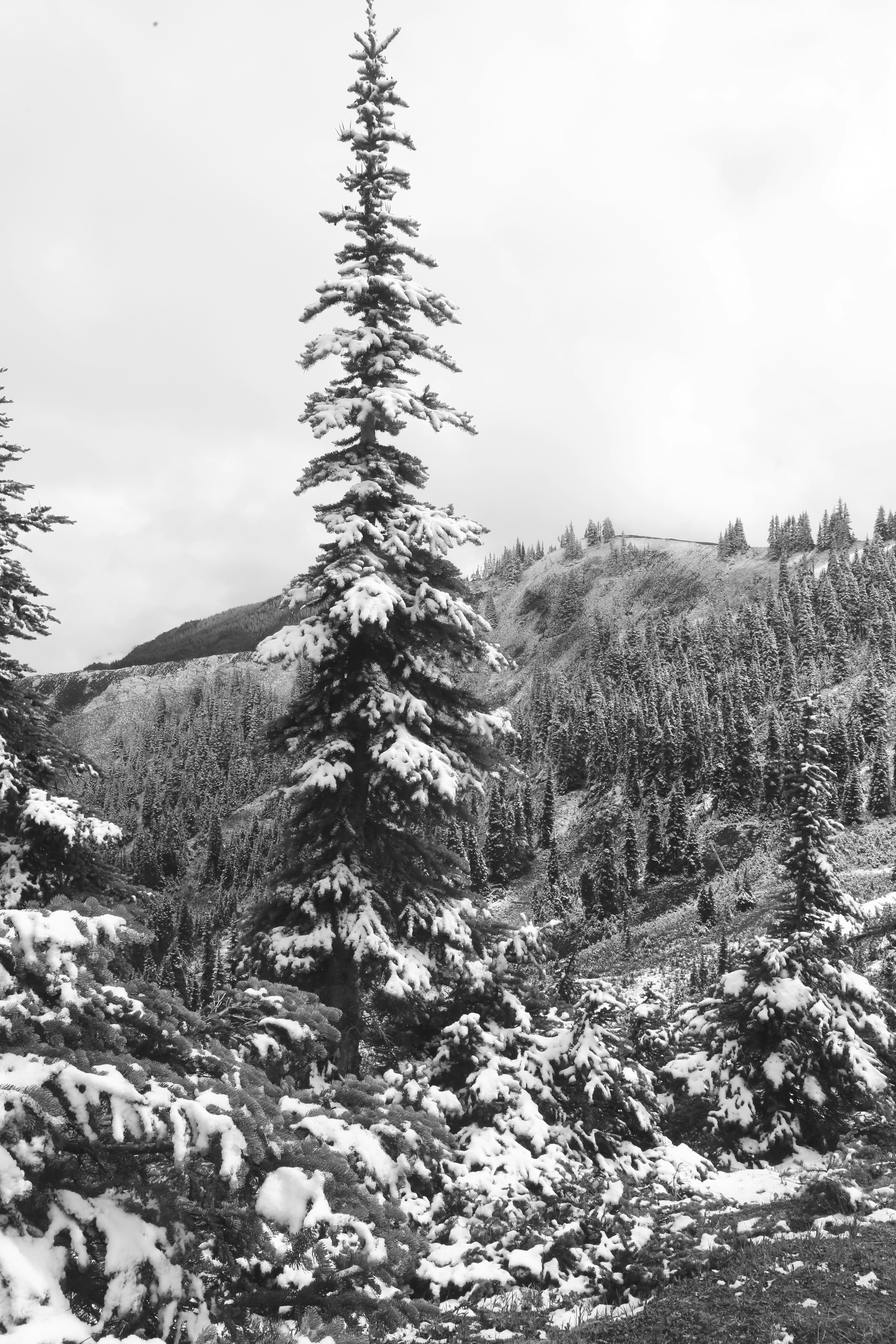 Photo by georgeiermann