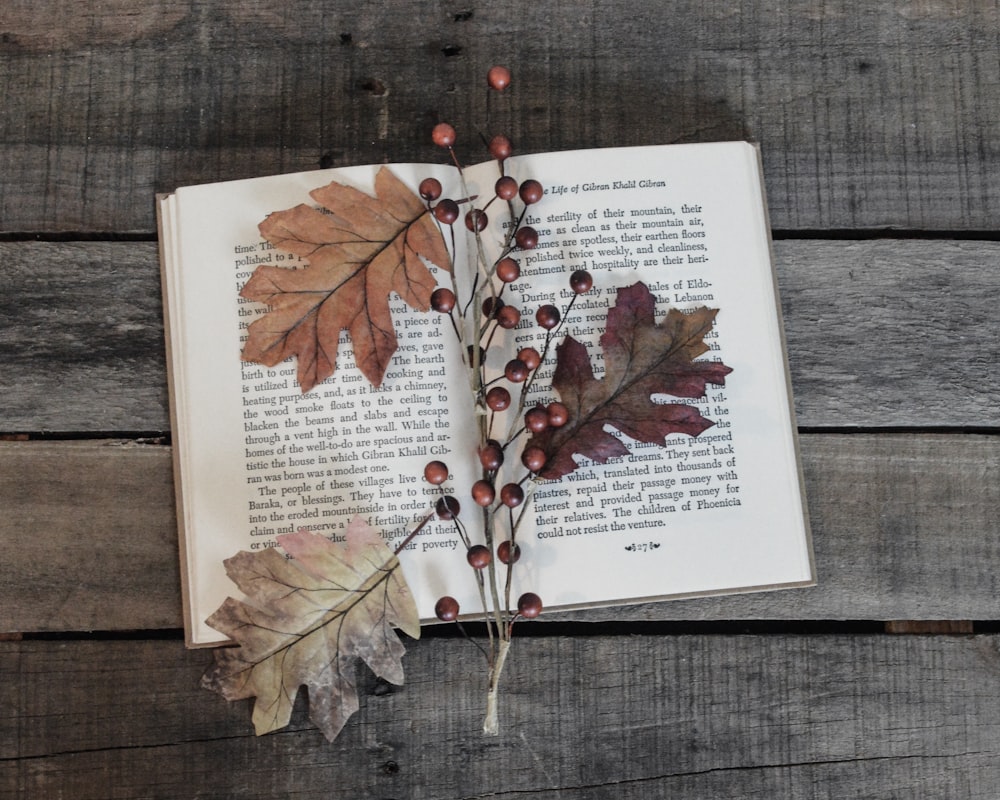 an open book with leaves and berries on it