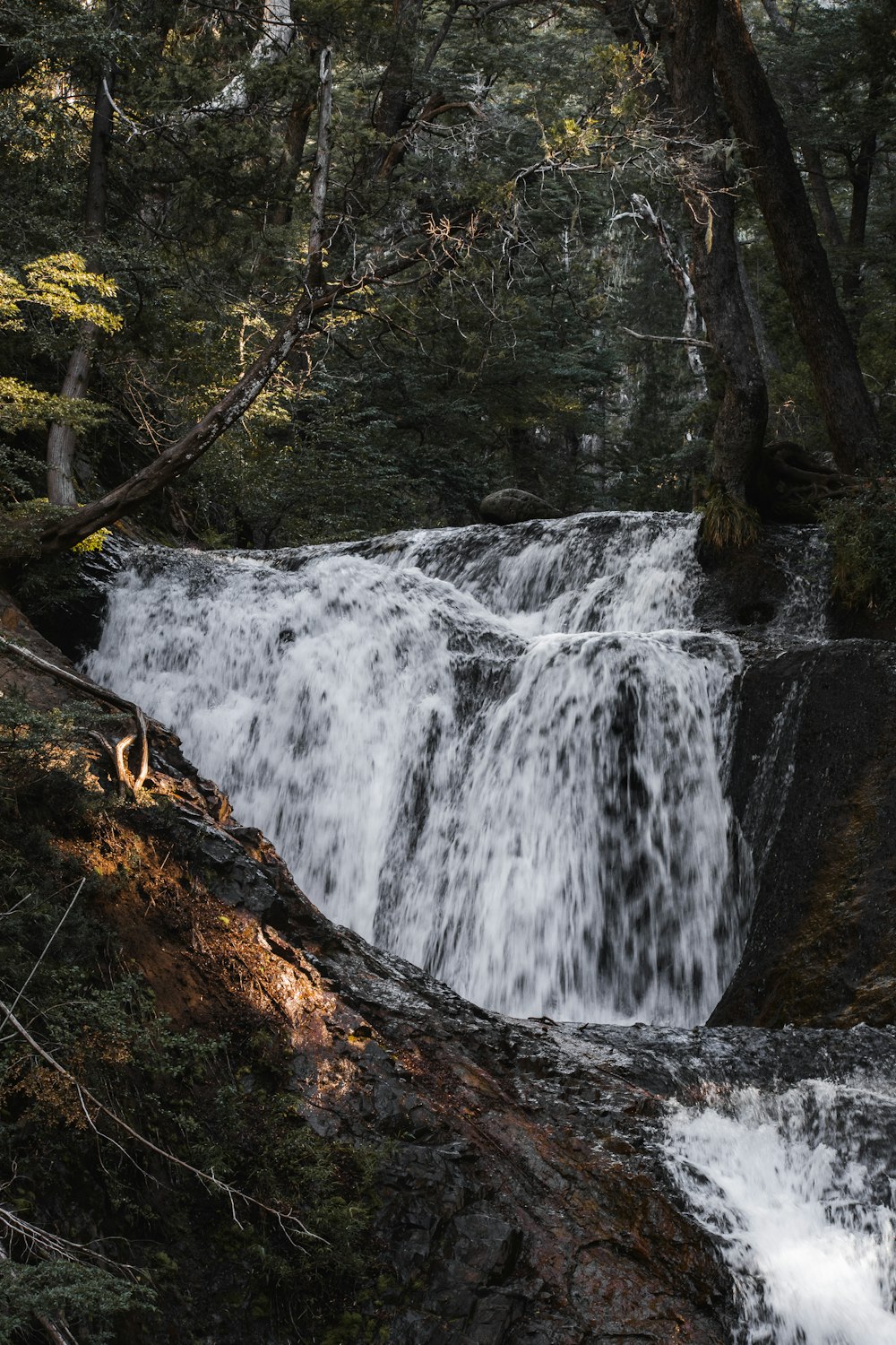 Una cascada en un bosque con árboles y rocas