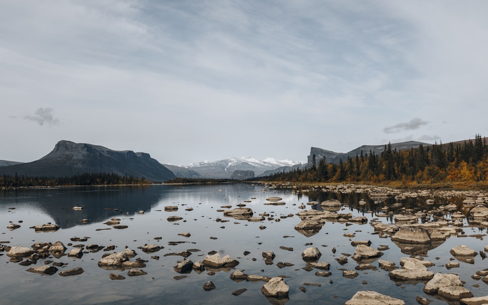 a body of water surrounded by rocks and trees