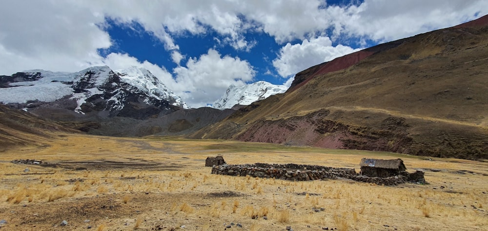 a field with a mountain in the background