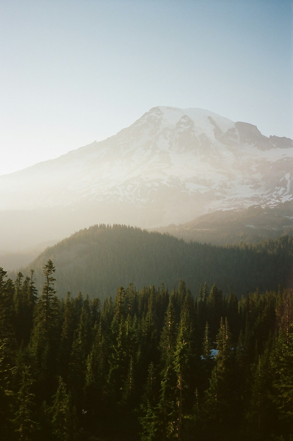 a mountain covered in snow and surrounded by trees