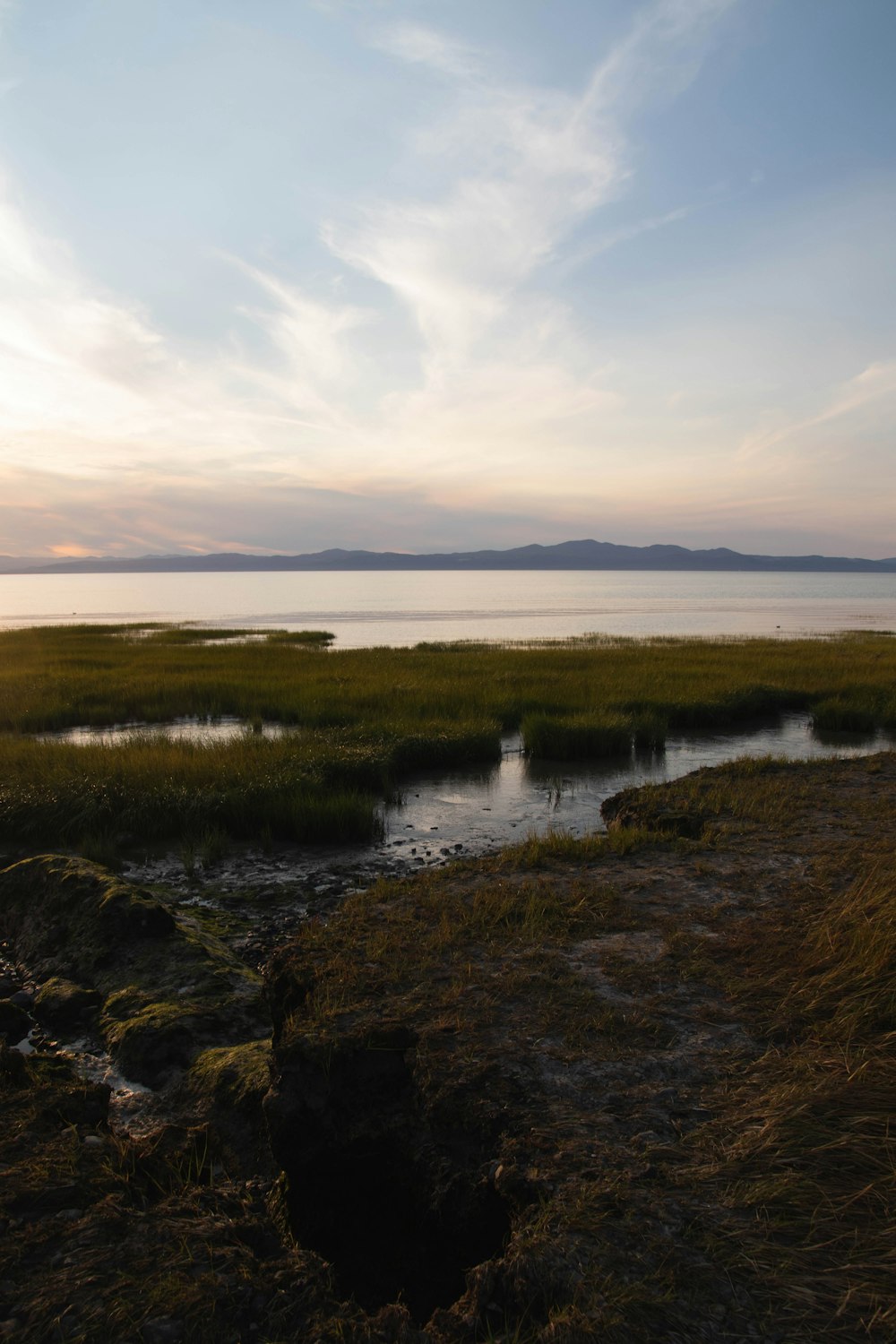 a body of water sitting next to a lush green field