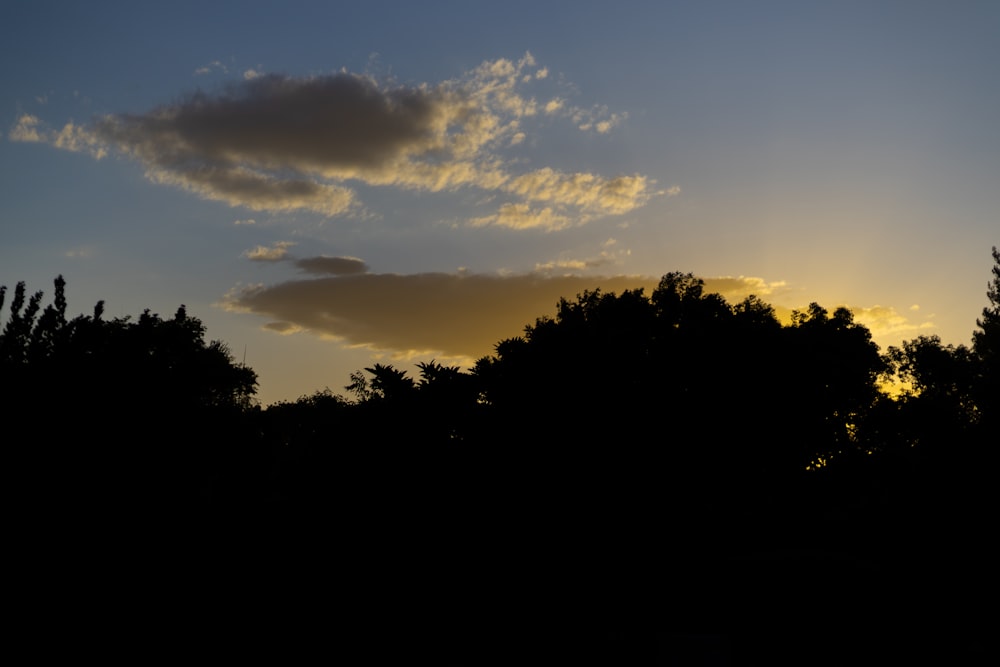 the sun is setting behind some trees