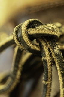 Close-up of a textured, frayed black and yellow shoelace, intricately tied in a knot. The image captures the rugged surface with visible dust particles, creating a tactile and worn appearance. The background is softly blurred, drawing focus to the shoelace.
