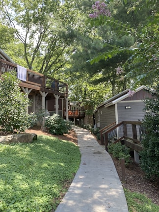 A pathway lined with greenery leads to wooden buildings surrounded by lush trees. Towels hang over the railing of an elevated wooden deck that is part of one of the buildings. The scene is peaceful and shaded by tall trees, with some small flowering plants visible.