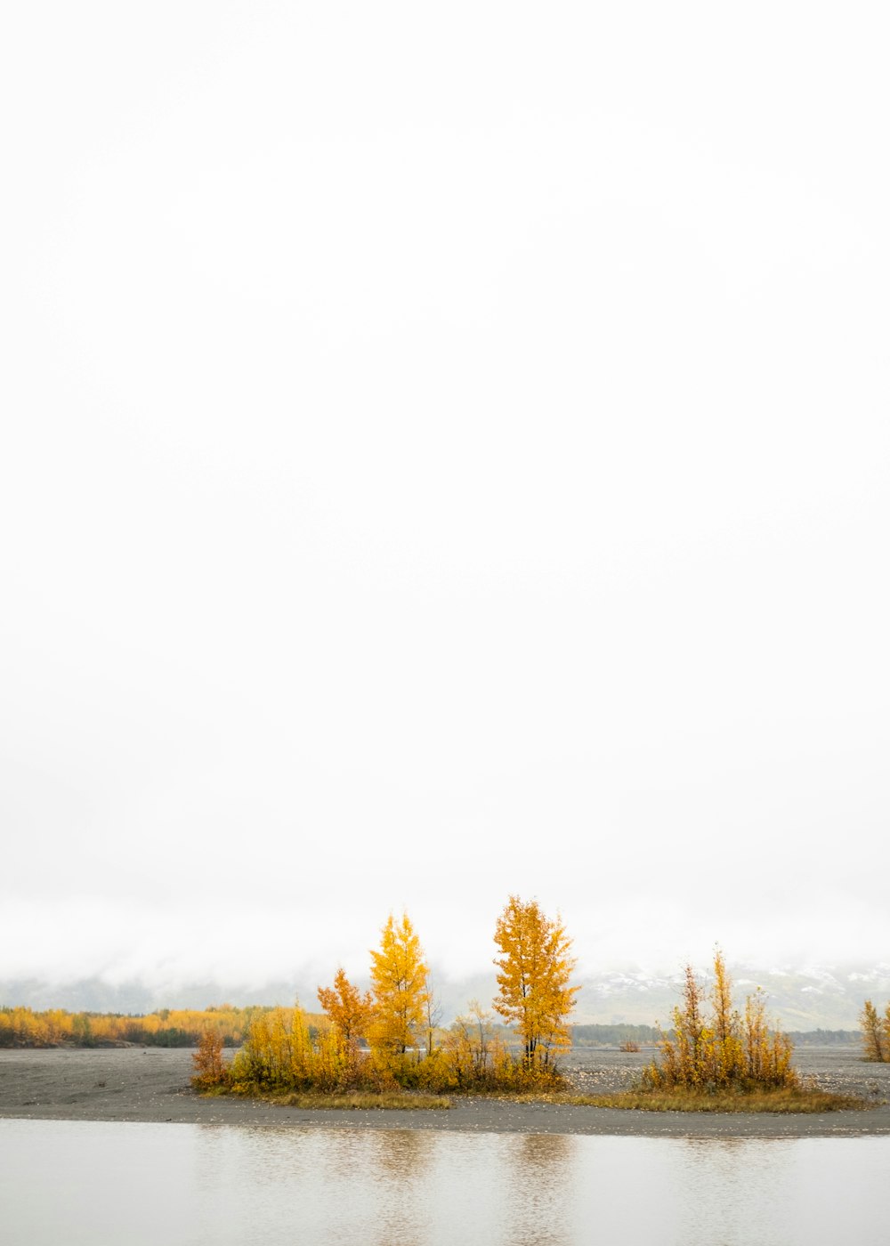 a large body of water surrounded by trees