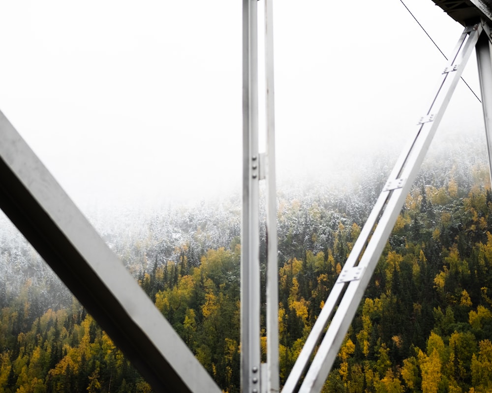 a view of a forest through a window