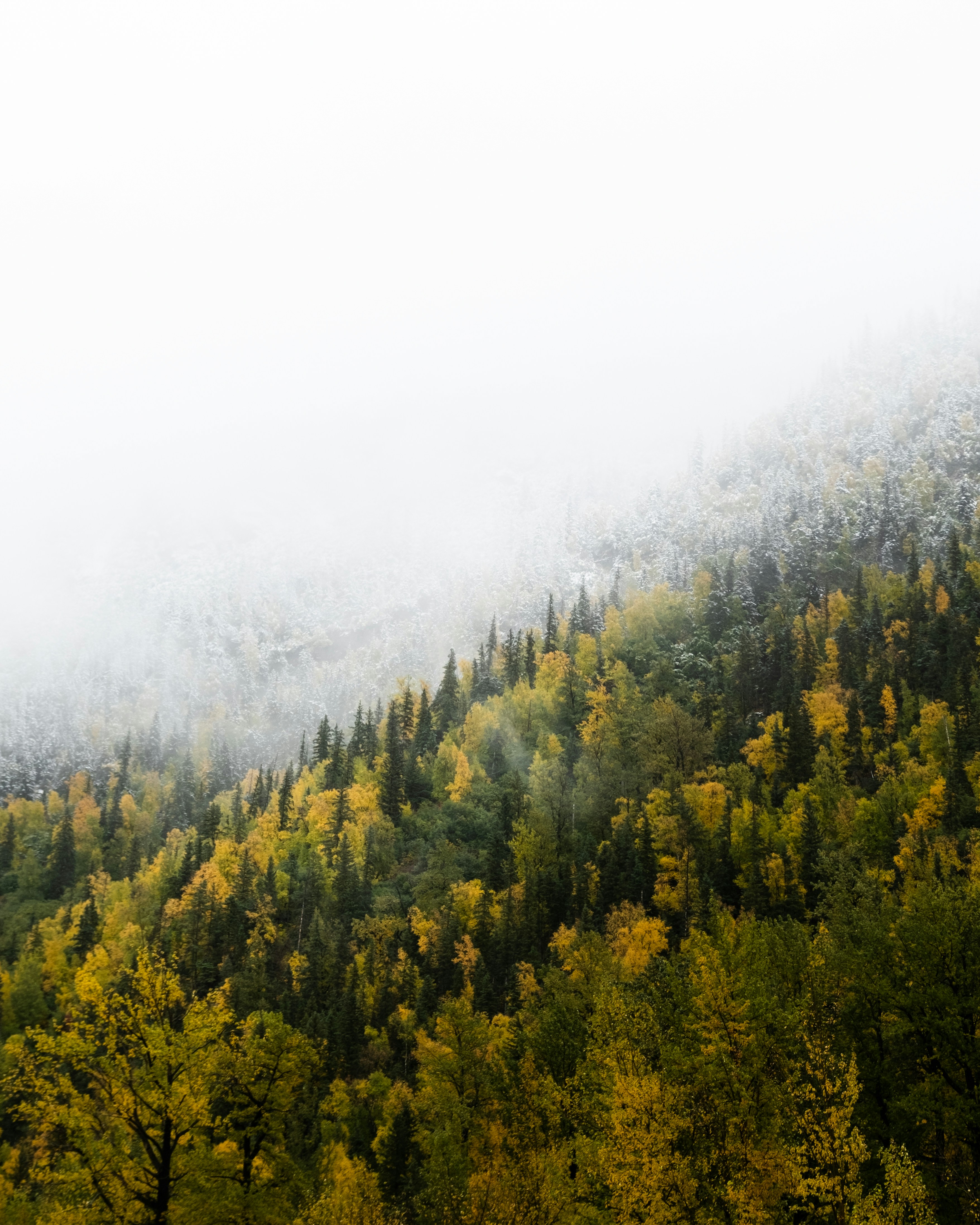 Photo by jaron_mobley