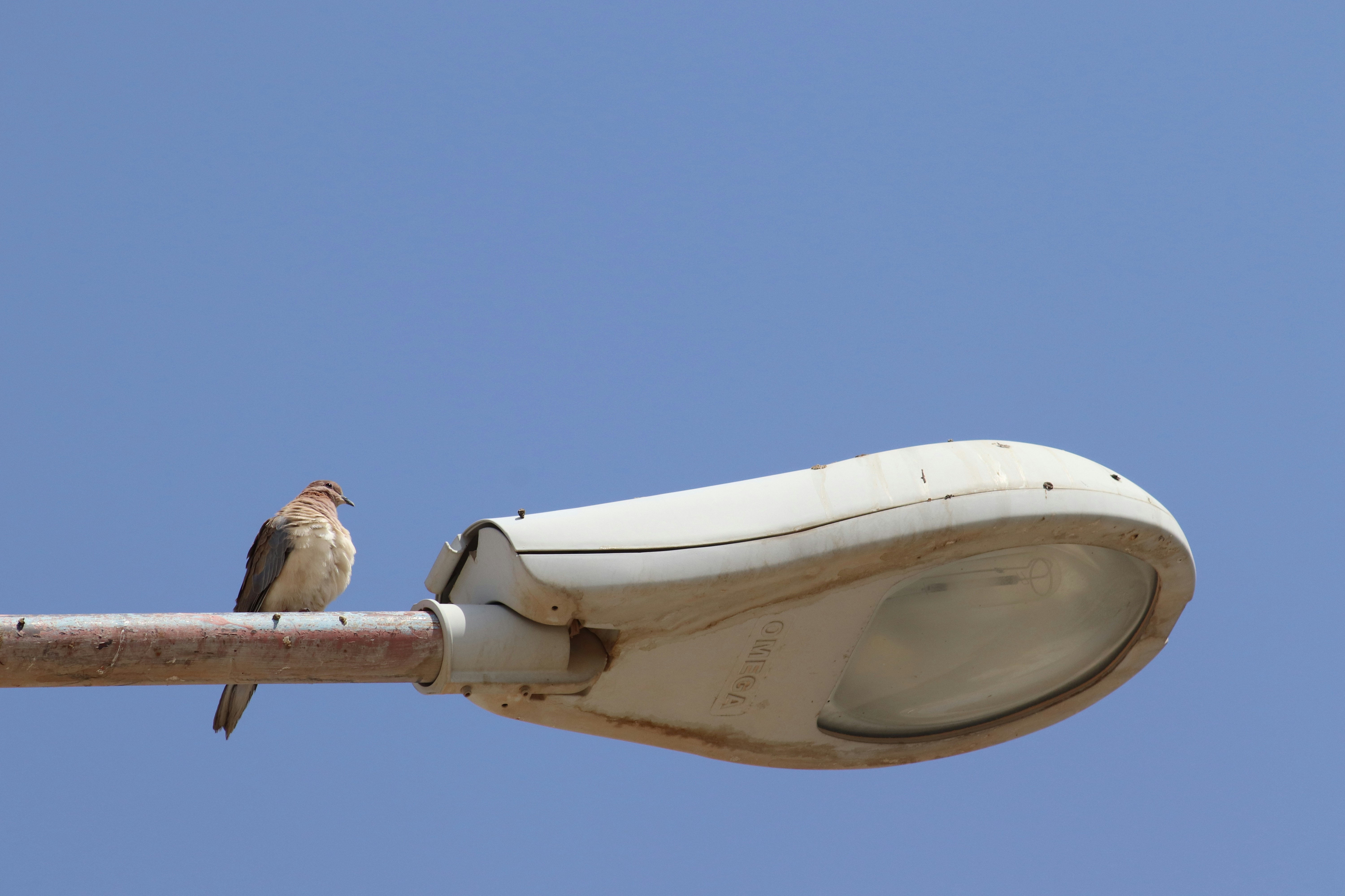 Photo by nobiurbhai