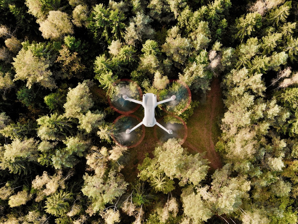 an aerial view of a forest with a plane flying over it