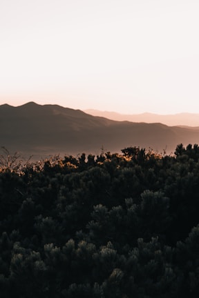 Sunset over the serene Obudu Mountain Resort with lush greenery and mist.