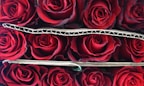 fleuriste à geneve