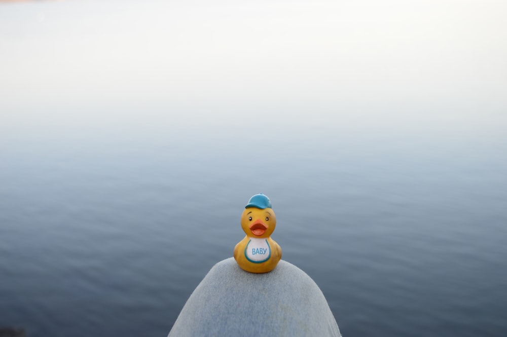 a rubber duck sitting on top of a boat