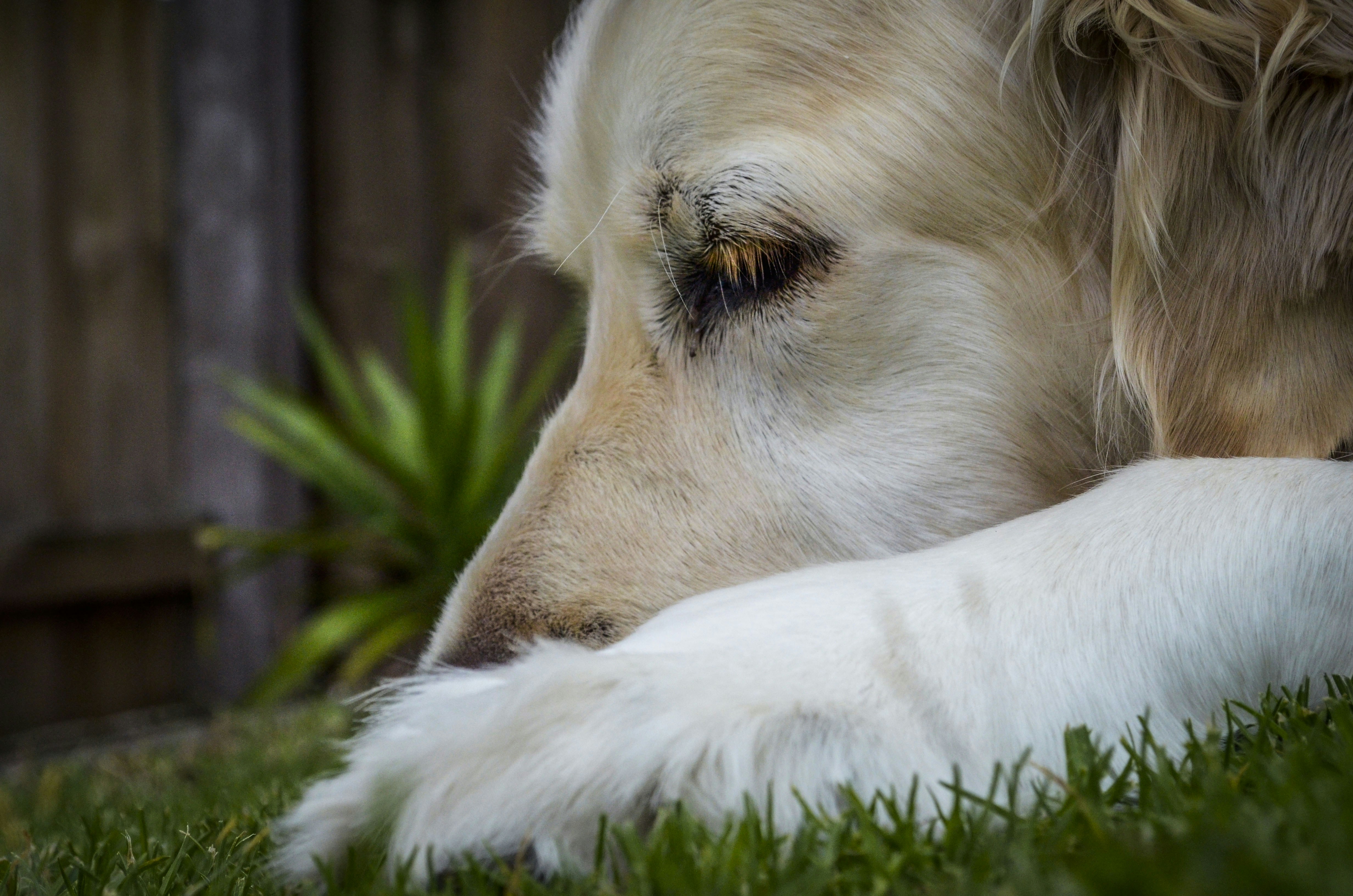 Photo by rachelstwrt