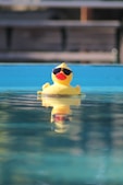 rubber ducky in water - rubber ducky day - January 13