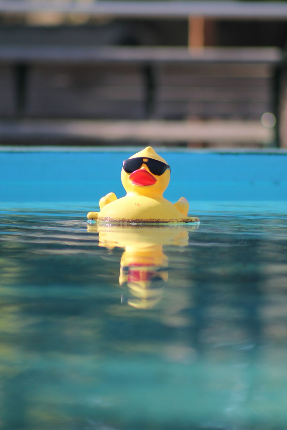 Eine Gummiente mit Sonnenbrille schwimmt in einem Pool